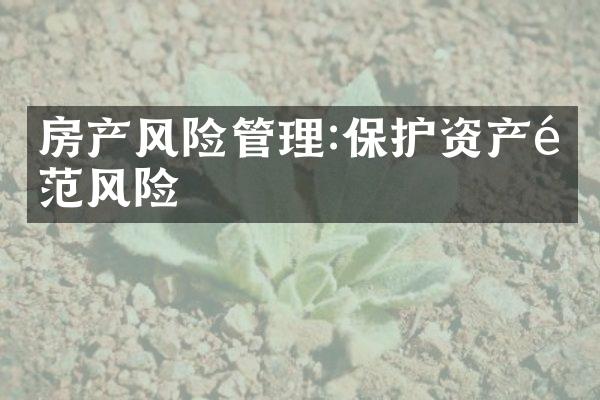 房产风险管理:保护资产防范风险