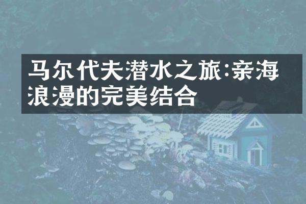 马尔代夫潜水之旅:亲海与浪漫的完美结合