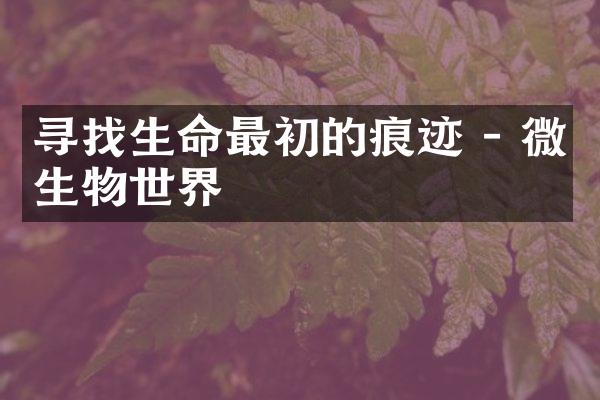 寻找生命最初的痕迹 - 微生物世界