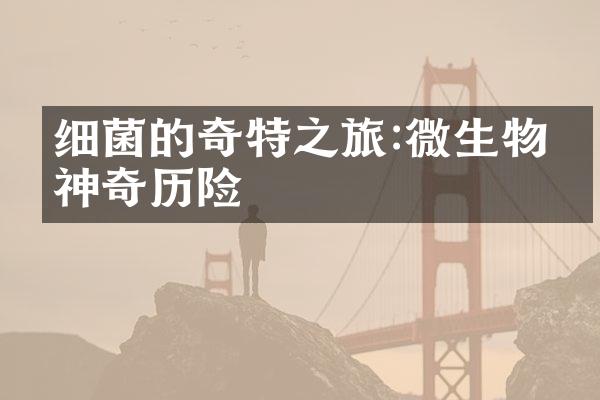 细菌的奇特之旅:微生物的神奇历险