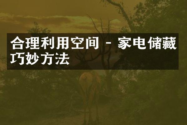 合理利用空间 - 家电储藏巧妙方法