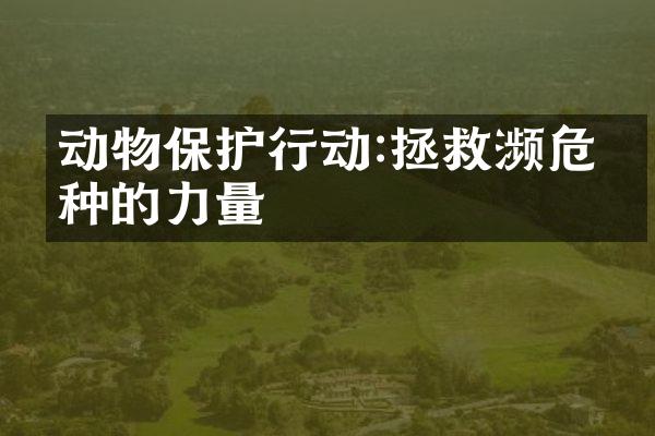 动物保护行动:拯救濒危物种的力量