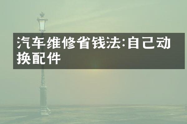 汽车维修省钱法:自己动手换配件