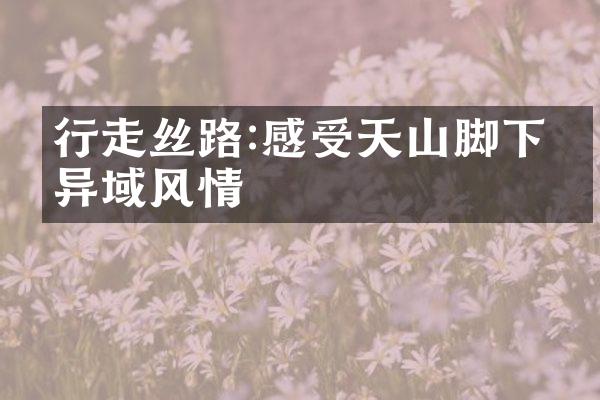 行走丝路:感受天山脚下的异域风情