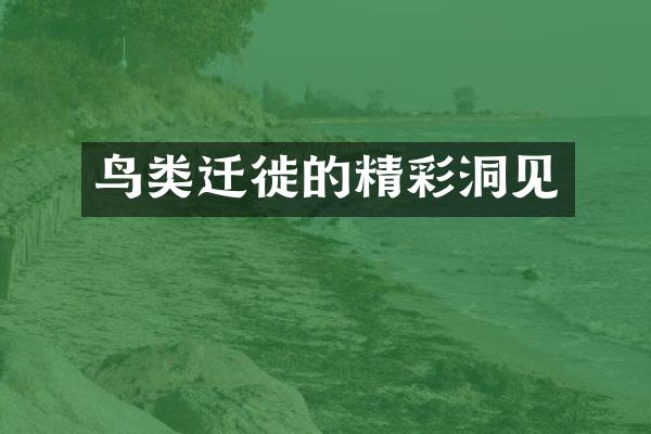 鸟类迁徙的精彩洞见