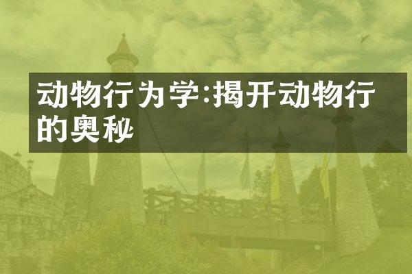 动物行为学:揭开动物行为的奥秘