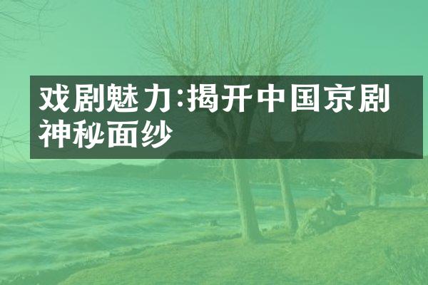 戏剧魅力:揭开中国京剧的神秘面纱