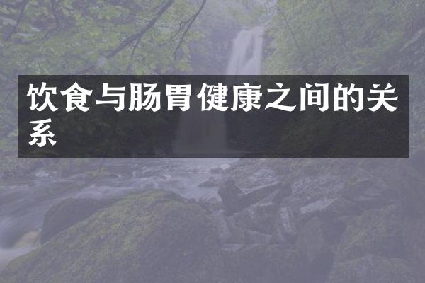 饮食与肠胃健康之间的关系