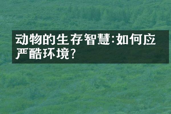 动物的生存智慧:如何应对严酷环境?
