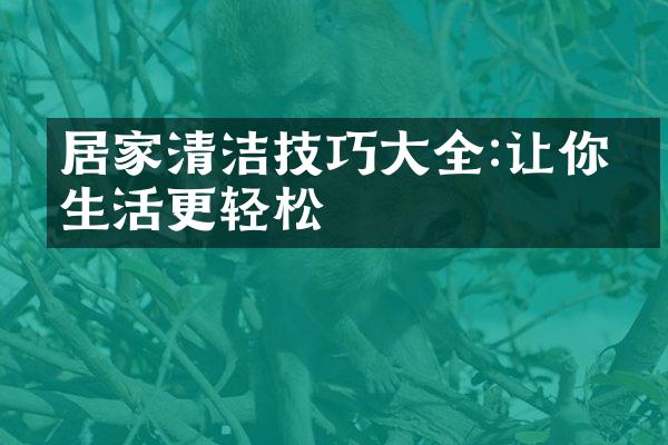 居家清洁技巧大全:让你的生活更轻松