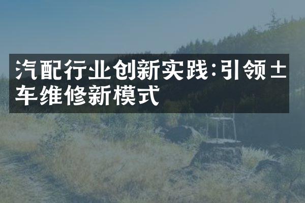 汽配行业创新实践:引领汽车维修新模式