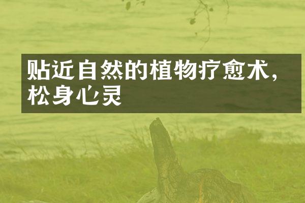 贴近自然的植物疗愈术,放松身心灵