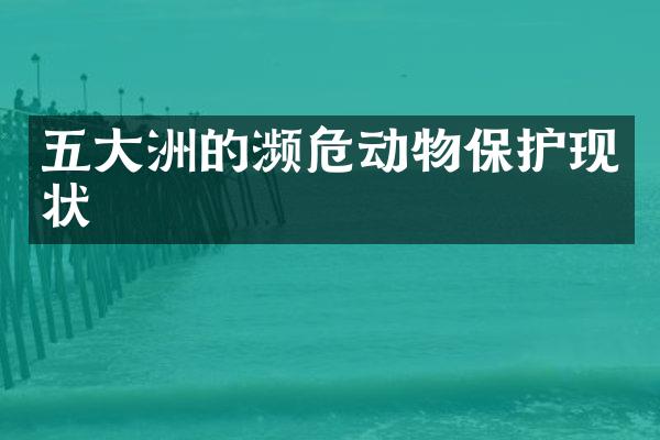 五大洲的濒危动物保护现状