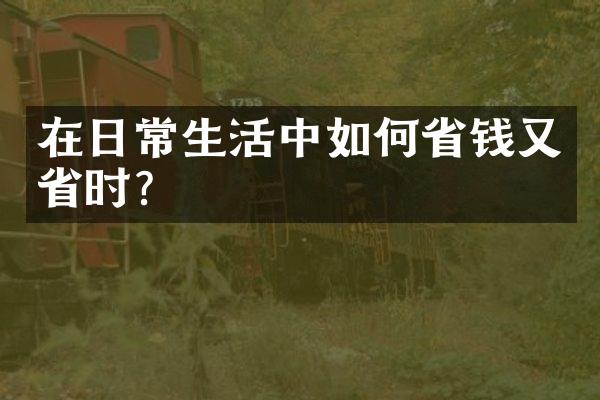 在日常生活中如何省钱又省时?