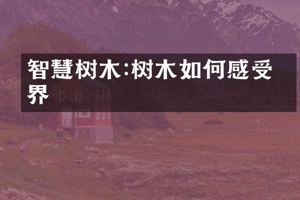 智慧树木:树木如何感受世界