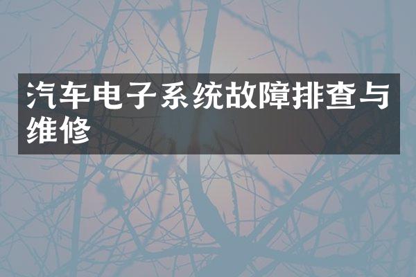 汽车电子系统故障排查与维修