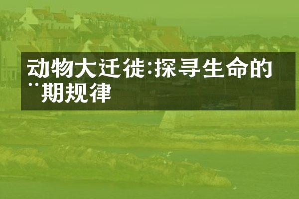 动物大迁徙:探寻生命的周期规律