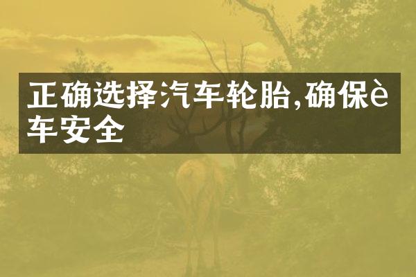 正确选择汽车轮胎,确保行车安全