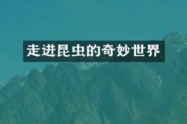 走进昆虫的奇妙世界