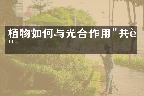 植物如何与光合作用"共舞"