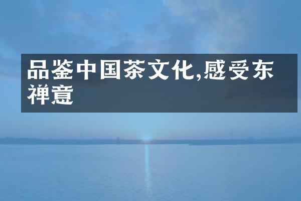 品鉴中国茶文化,感受东方禅意