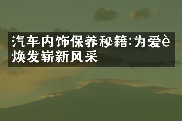 汽车内饰保养秘籍:为爱车焕发崭新风采