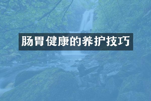肠胃健康的养护技巧