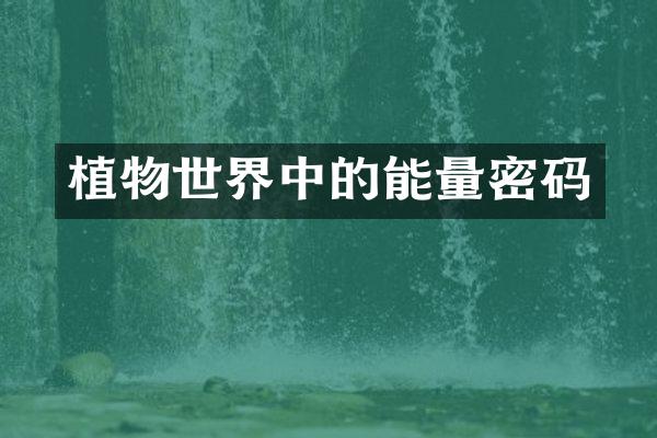 植物世界中的能量密码