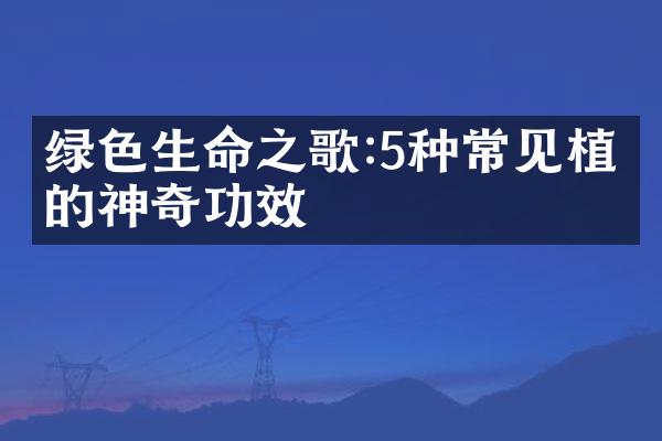 绿色生命之歌:5种常见植物的神奇功效