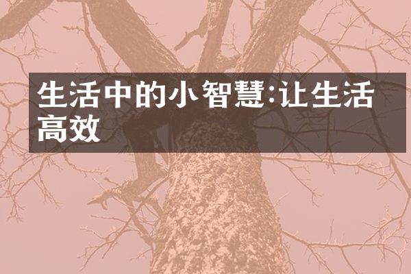 生活中的小智慧:让生活更高效