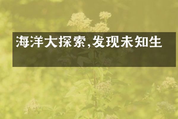 海洋大探索,发现未知生灵