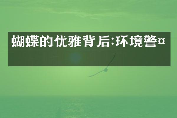 蝴蝶的优雅背后:环境警示