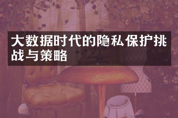 大数据时代的隐私保护挑战与策略