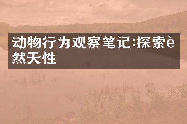 动物行为观察笔记:探索自然天性