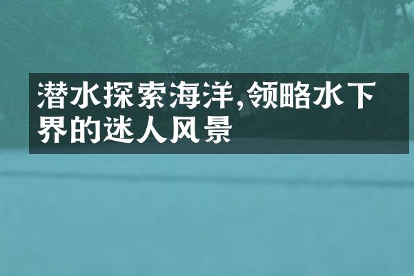 潜水探索海洋,领略水下世界的迷人风景