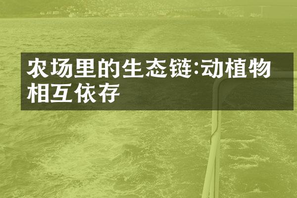 农场里的生态链:动植物的相互依存