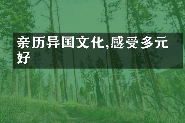亲历异国文化,感受多元美好