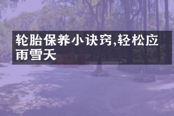 轮胎保养小诀窍,轻松应对雨雪天