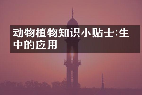 动物植物知识小贴士:生活中的应用