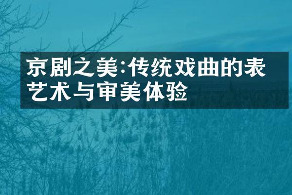 京剧之美:传统戏曲的表演艺术与审美体验