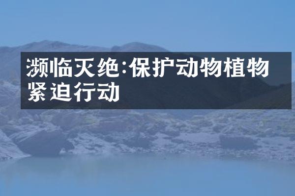 濒临灭绝:保护动物植物的紧迫行动