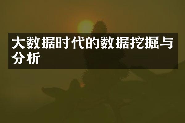大数据时代的数据挖掘与分析