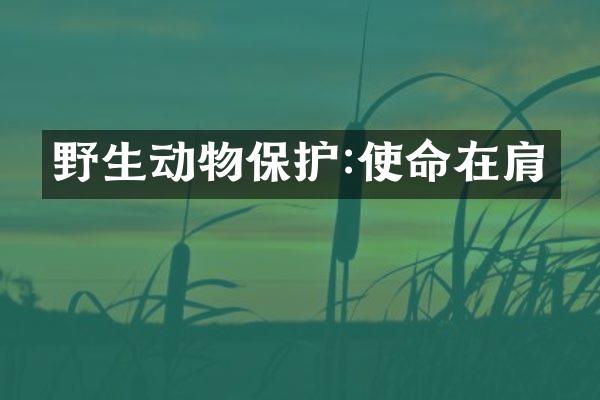 野生动物保护:使命在肩