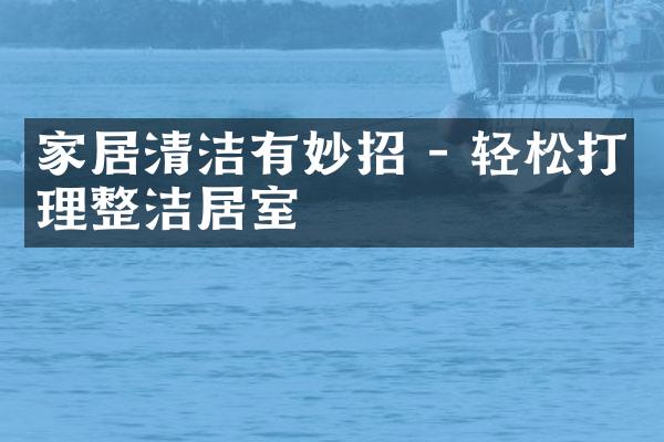 家居清洁有妙招 - 轻松打理整洁居室