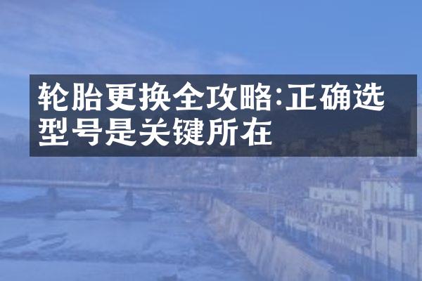 轮胎更换全攻略:正确选择型号是关键所在