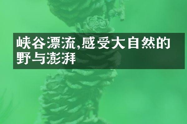 峡谷漂流,感受大自然的狂野与澎湃