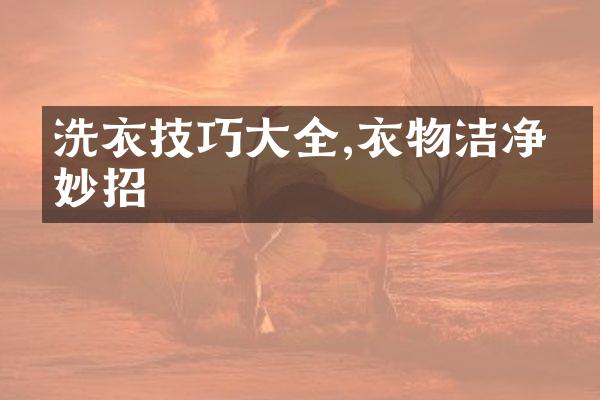 洗衣技巧大全,衣物洁净有妙招