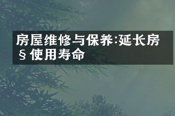 房屋维修与保养:延长房产使用寿命