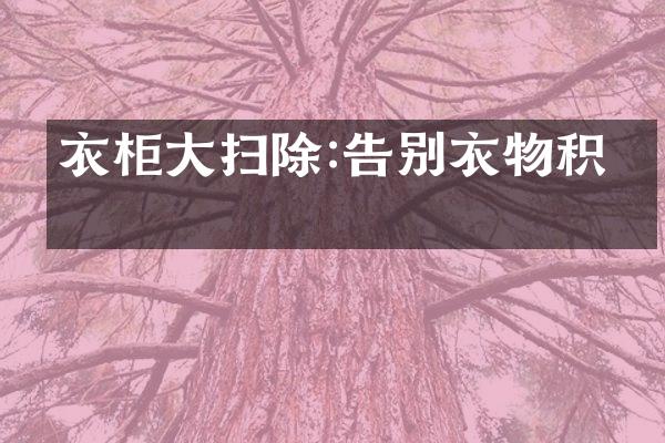 衣柜大扫除:告别衣物积压
