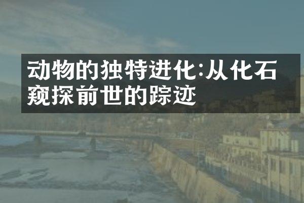 动物的独特进化:从化石中窥探前世的踪迹